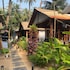 tranquil stay palolem beach