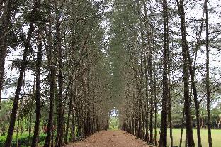 reddoorz near rs sari asih cipondoh