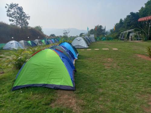 panshet camping