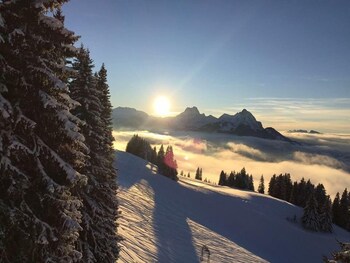 boutique hotel alpenrose