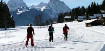 boutique hotel alpenrose