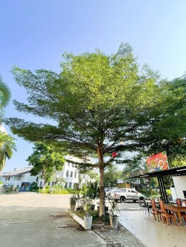chiang mai