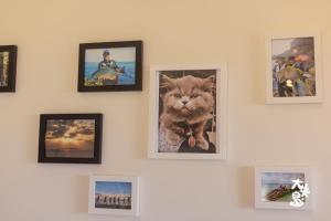 taiyang island sea view homestay