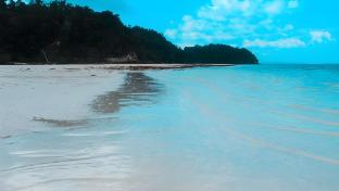 palam mansion at meisterstadt pollux habibie