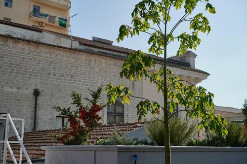 foggia