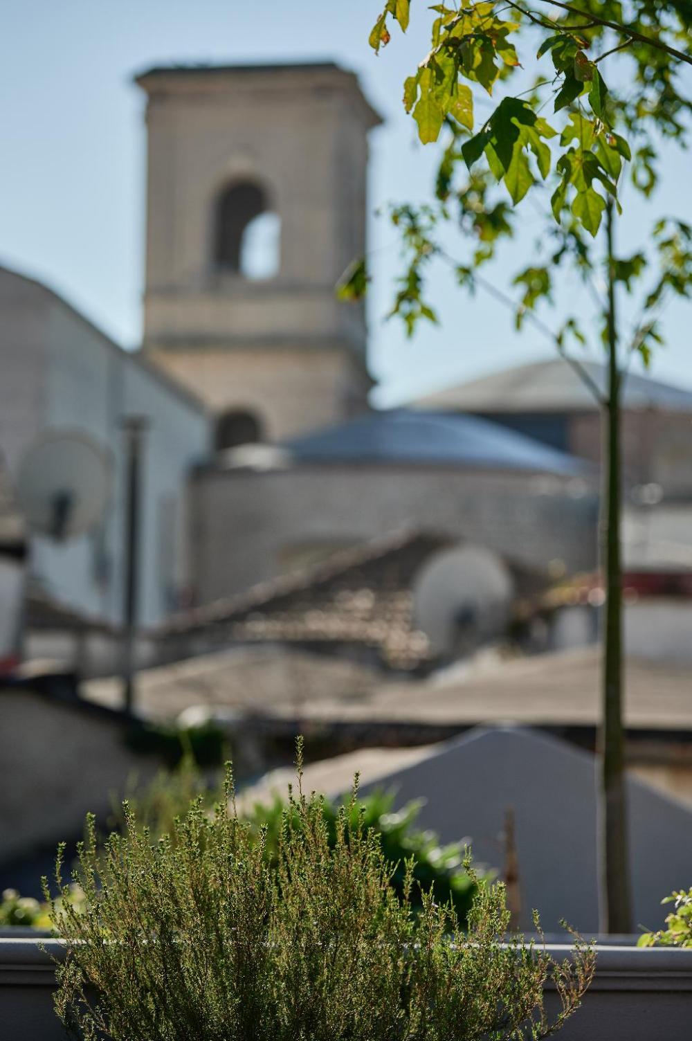 foggia