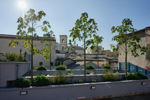 foggia