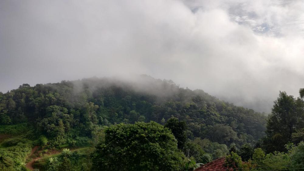 the cliff edge coorg