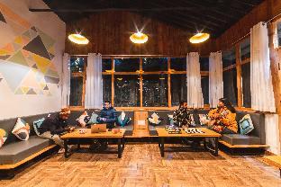 zostel plus nainital naina range