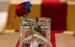 hotel lahari international