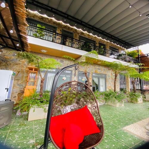 pine forest house da lat