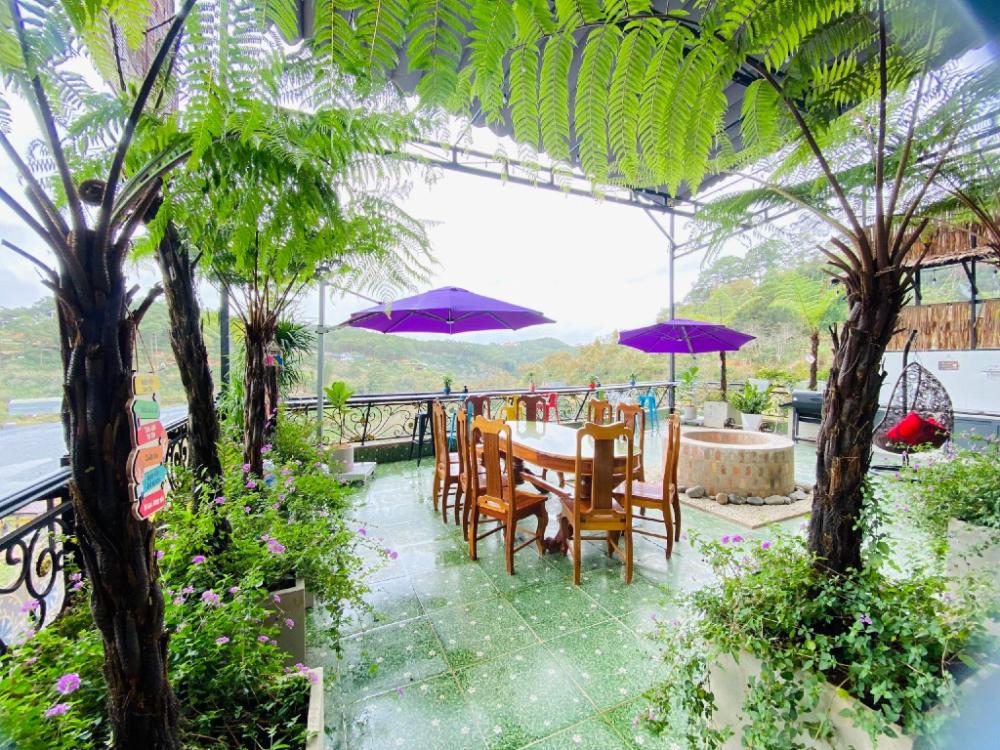 pine forest house da lat