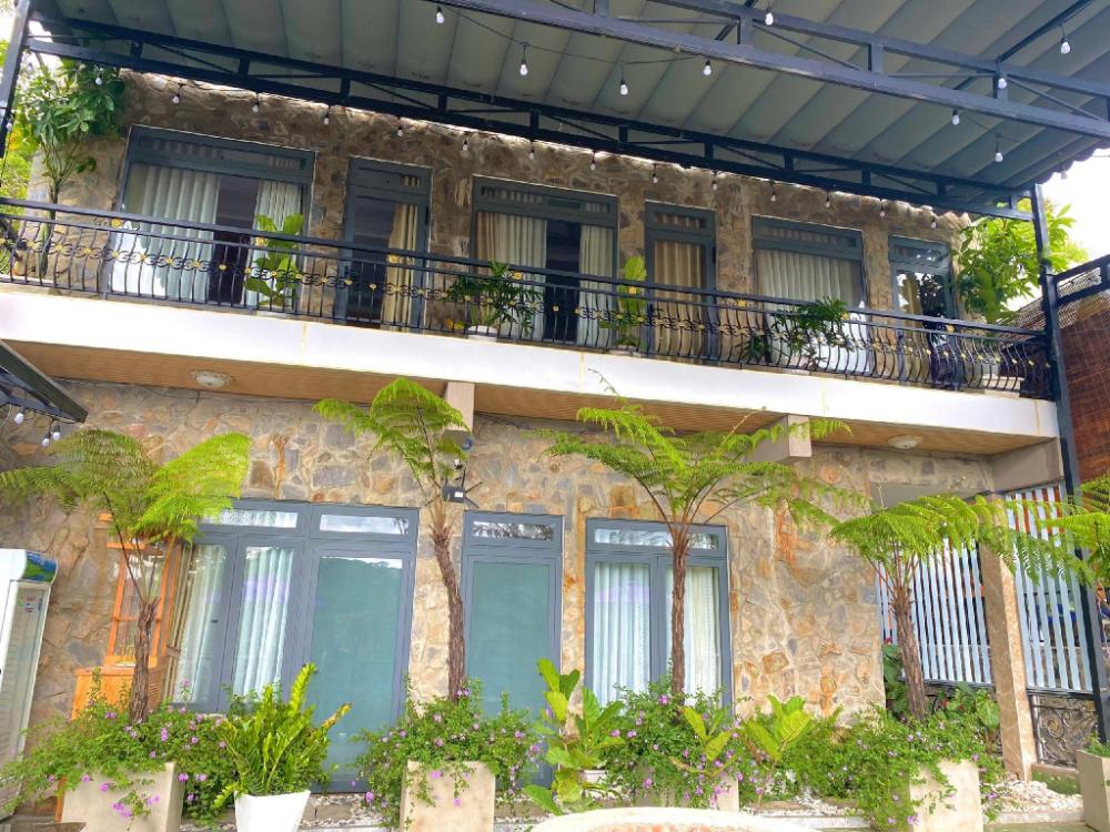pine forest house da lat