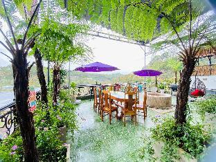 pine forest house da lat