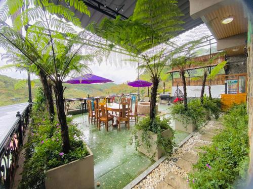 pine forest house da lat