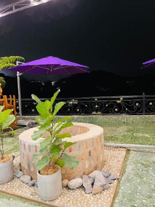 pine forest house da lat