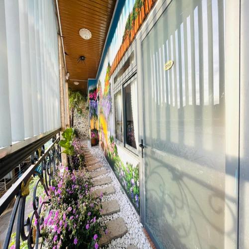 pine forest house da lat