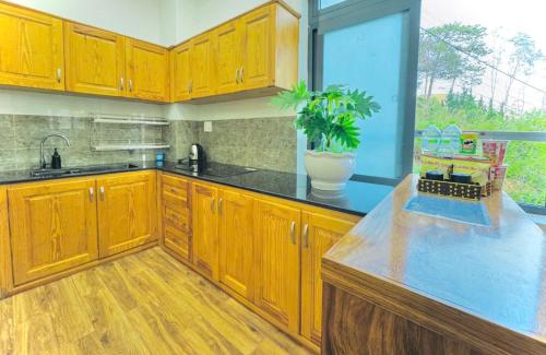 pine forest house da lat