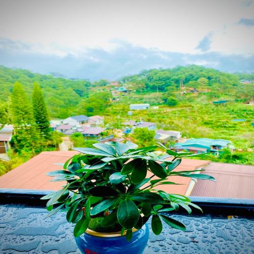 dalat