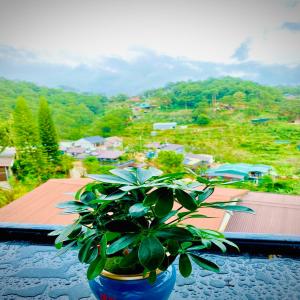 dalat