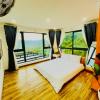 pine forest house da lat