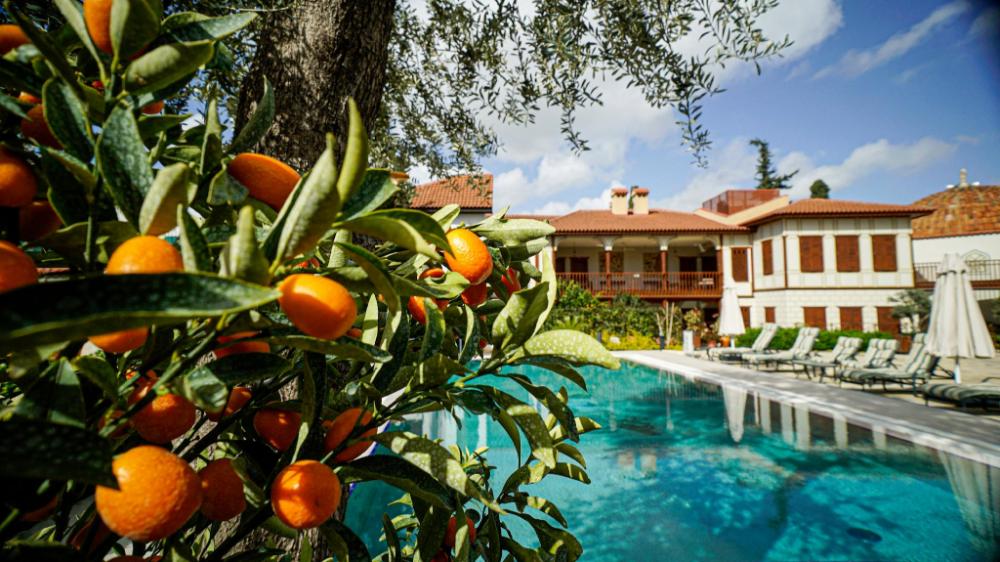 ruinadalia hotel