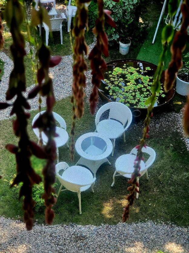 the tea garden homestay dibrugarh