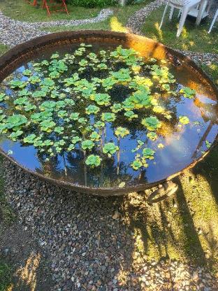 the tea garden homestay dibrugarh