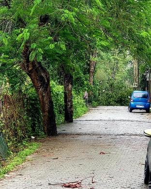 the tea garden homestay dibrugarh