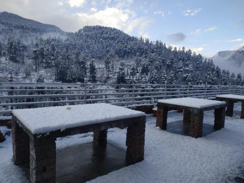 kasol hostel