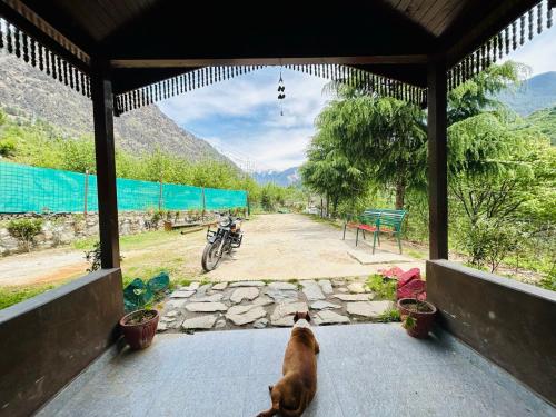 kasol hostel