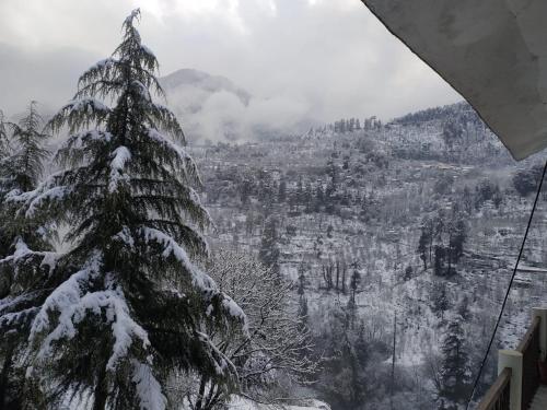 kasol hostel