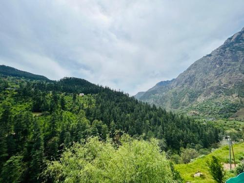 kasol hostel