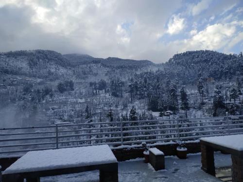 kasol hostel