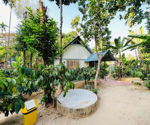 falling water resort