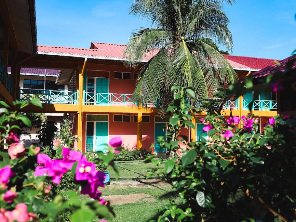 papaya resort