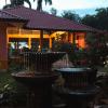 papaya resort