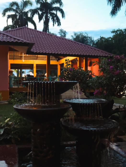 papaya resort