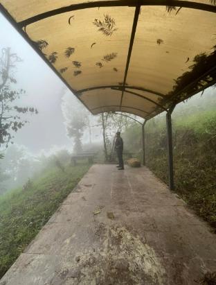kodaikanal