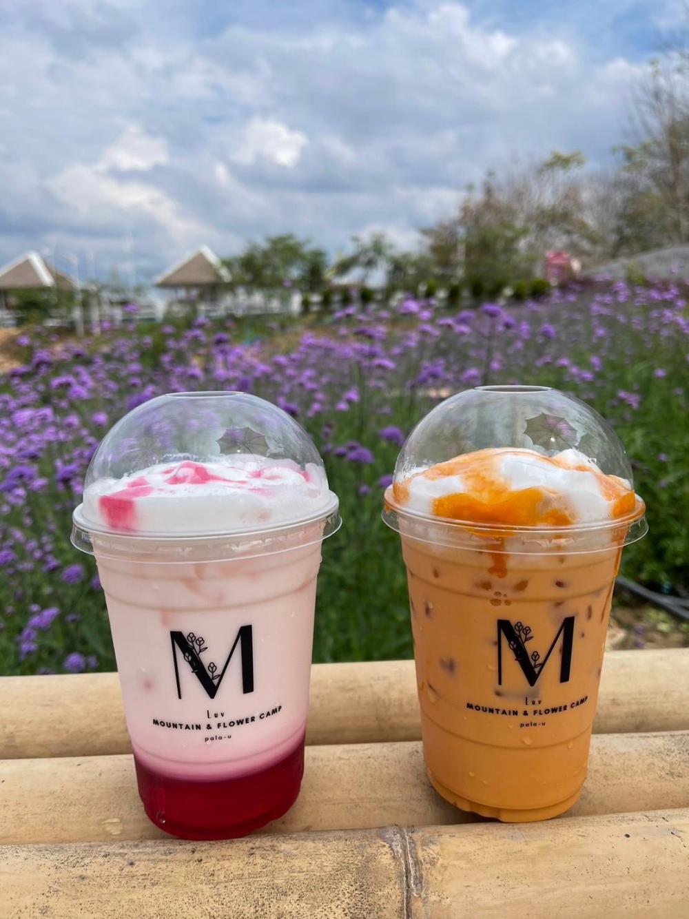 luv mountain and flower camp pala u