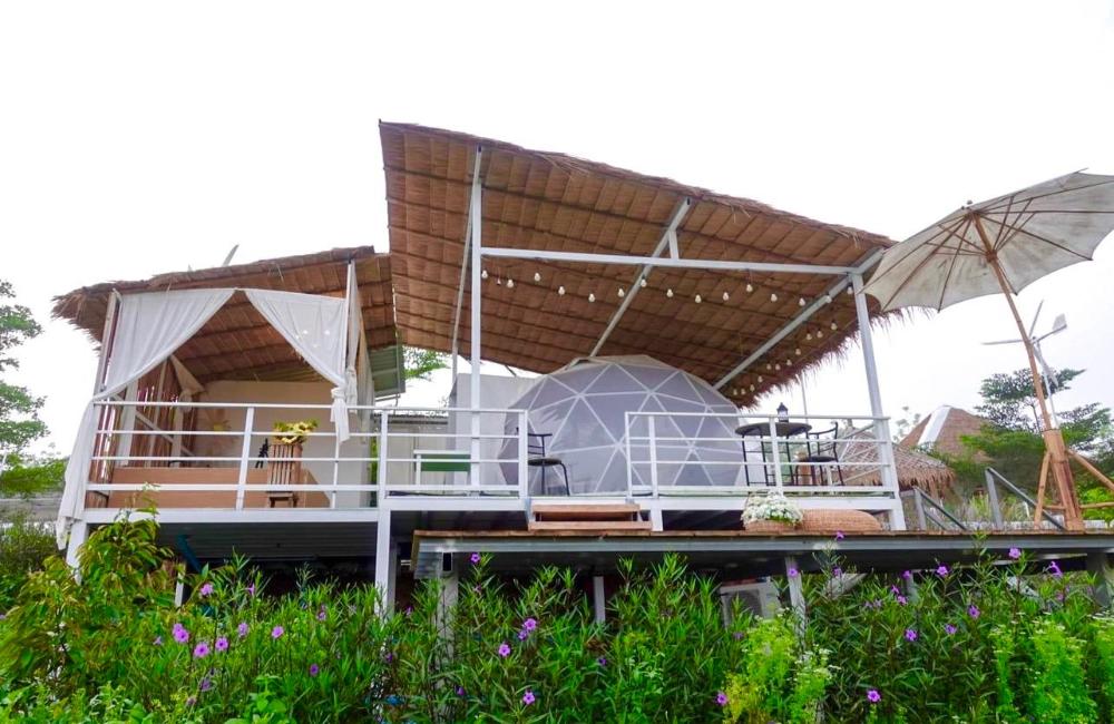 luv mountain and flower camp pala u