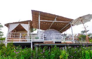 luv mountain and flower camp pala u