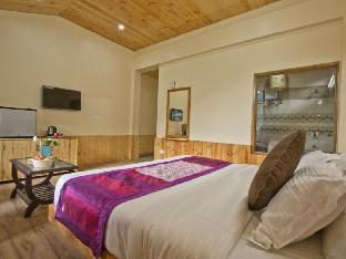 manali and vicinity