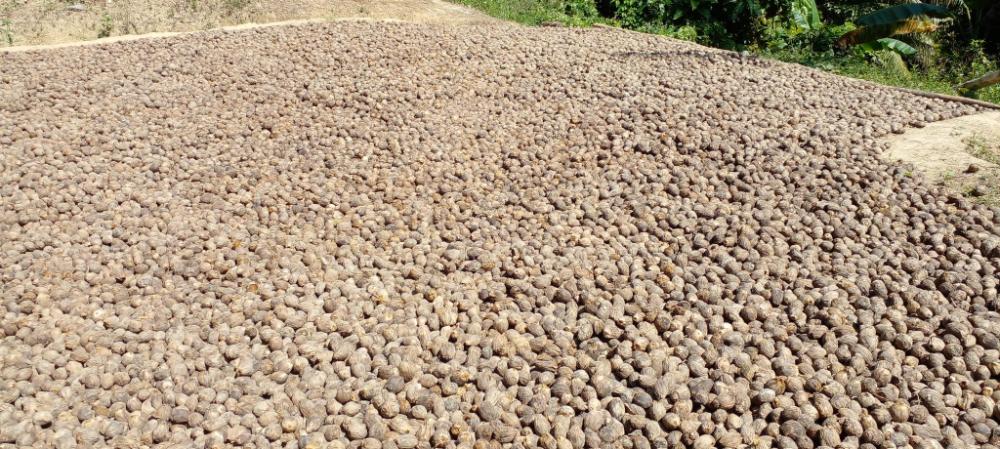 rutland tatinee resort