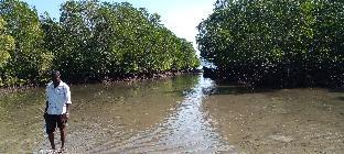 rutland tatinee resort