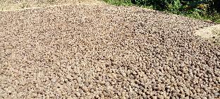 rutland tatinee resort