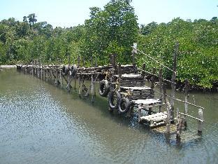 rutland tatinee resort