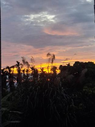tea garden house homestay
