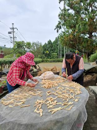 tea garden house homestay