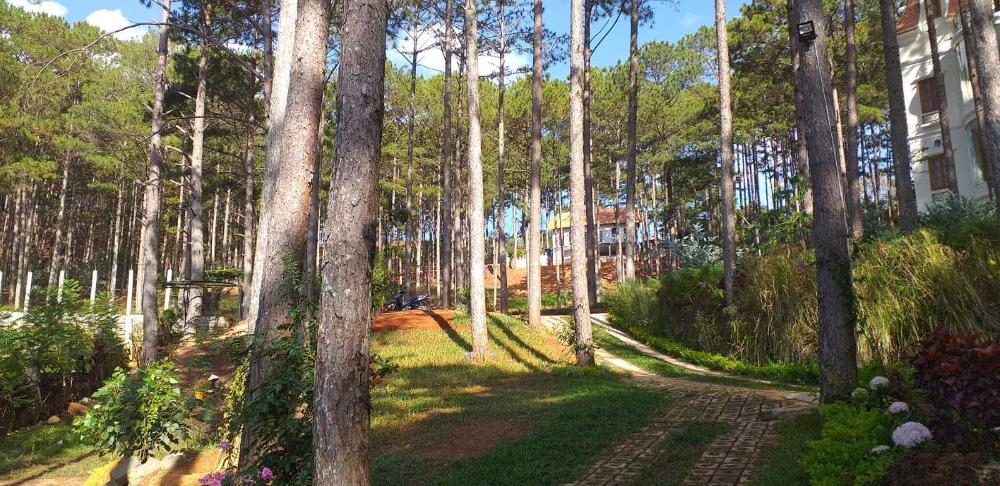 omirita resort dalat